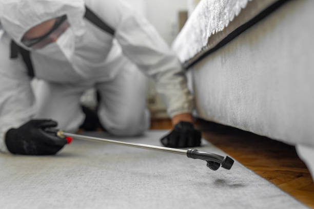 Professional Termite Control technician working in Brandon, SD