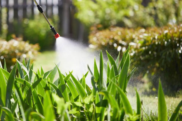 24/7 Emergency Termite Control experts in Brandon, SD